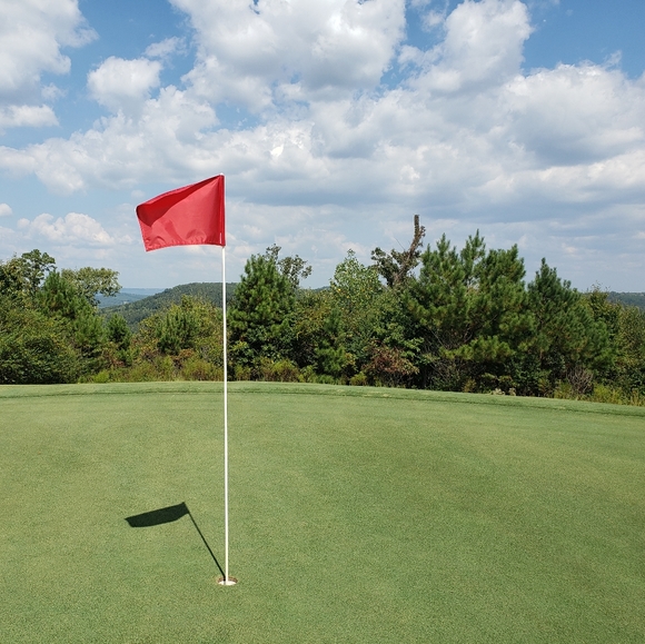 Prefered - Picture 3 of 16